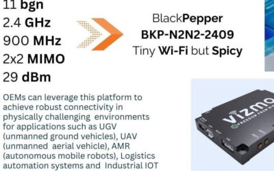 Vizmonet BlackPepper BKP-N2N2-2409 Wi-Fi 4 Module